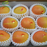 //ilrorwxhkjlolp5p.ldycdn.com/cloud/mjBpqKpnRljSplompnlon/China-Cheap-Fruit-and-Vegetable-Foam-Sock-Packaging-Net.jpg