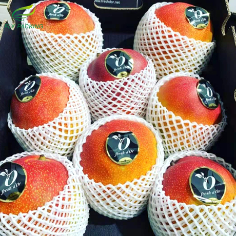 mesh-for-mangoes.jpg