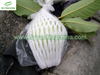Foam Fruit Sleeve Net for Fruit Packaging Suppliers SO-15-W